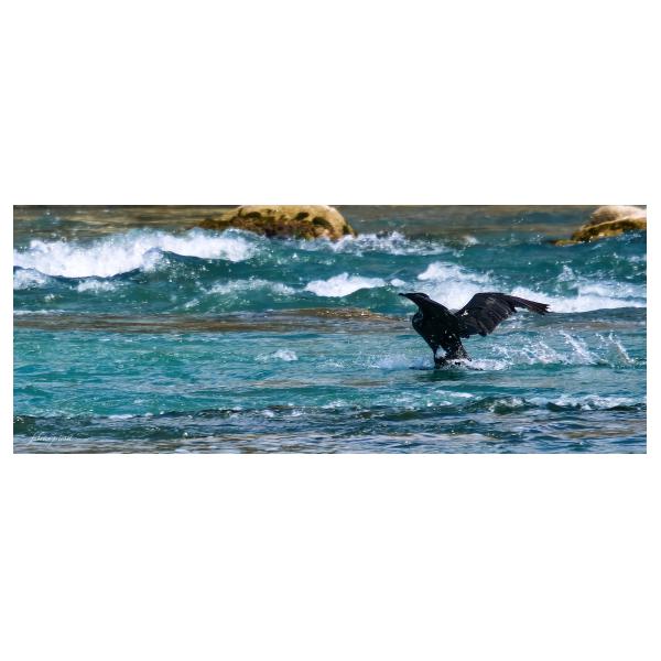 PHOTO84, CLUB, 84 , LUBERON